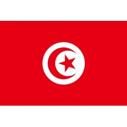 STOCKFLAGGE Flagge Tunesien 90 x 150 cm