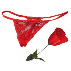 Slip-Rose rot - Rose mit String-Tanga als Blütenblätter Sexy Unterwäsche Rosen